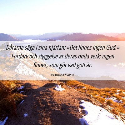Picture 06 - Psaltaren 53:2 SV1917 - Dårarna säga i sina hjärtan: »Det finnes - Bible Verse Picture
