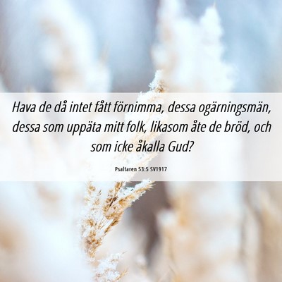 Picture 06 - Psaltaren 53:5 SV1917 - Hava de då intet fått förnimma, dessa - Bible Verse Picture
