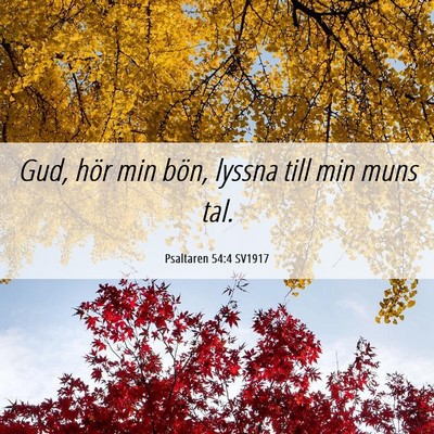 Picture 06 - Psaltaren 54:4 SV1917 - Gud, hör min bön, lyssna till min muns - Bible Verse Picture