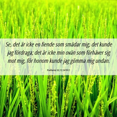Picture 06 - Psaltaren 55:13 SV1917 - Se, det är icke en fiende som smädar mig, det - Bible Verse Picture
