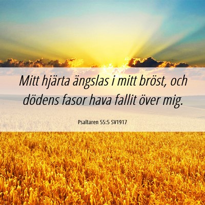 Picture 06 - Psaltaren 55:5 SV1917 - Mitt hjärta ängslas i mitt bröst, och dödens - Bible Verse Picture