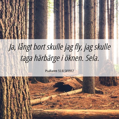 Picture 06 - Psaltaren 55:8 SV1917 - Ja, långt bort skulle jag fly, jag skulle taga - Bible Verse Picture