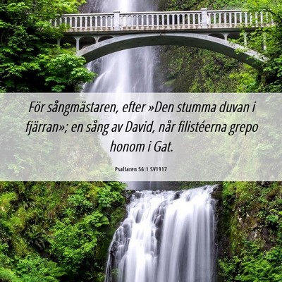 Picture 06 - Psaltaren 56:1 SV1917 - För sångmästaren, efter »Den stumma duvan i - Bible Verse Picture