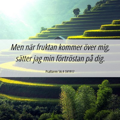 Picture 06 - Psaltaren 56:4 SV1917 - Men när fruktan kommer över mig, sätter jag - Bible Verse Picture