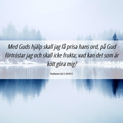 Picture 06 - Psaltaren 56:5 SV1917 - Med Guds hjälp skall jag få prisa hans ord, på - Bible Verse Picture