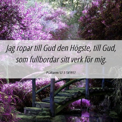Picture 06 - Psaltaren 57:3 SV1917 - Jag ropar till Gud den Högste, till Gud, som - Bible Verse Picture