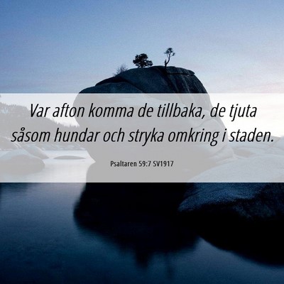 Picture 06 - Psaltaren 59:7 SV1917 - Var afton komma de tillbaka, de tjuta såsom - Bible Verse Picture