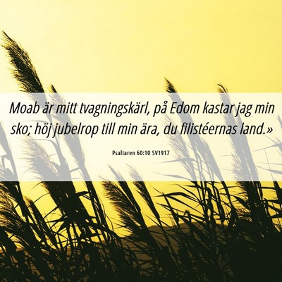 Picture 06 - Psaltaren 60:10 SV1917 - Moab är mitt tvagningskärl, på Edom kastar jag - Bible Verse Picture