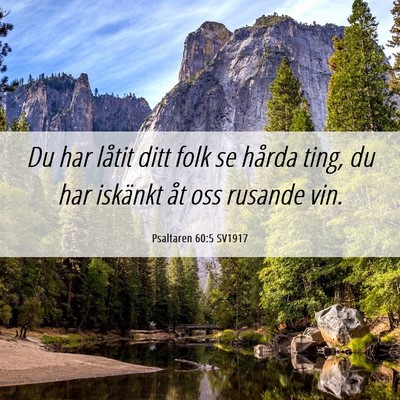 Picture 06 - Psaltaren 60:5 SV1917 - Du har låtit ditt folk se hårda ting, du har - Bible Verse Picture