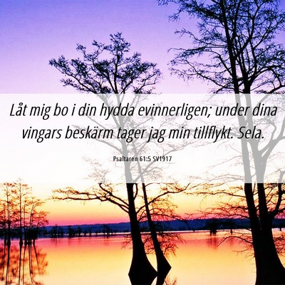 Picture 06 - Psaltaren 61:5 SV1917 - Låt mig bo i din hydda evinnerligen; under dina - Bible Verse Picture