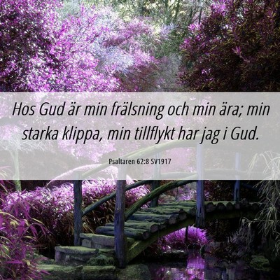 Picture 06 - Psaltaren 62:8 SV1917 - Hos Gud är min frälsning och min ära; min - Bible Verse Picture
