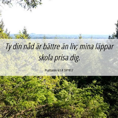 Picture 06 - Psaltaren 63:4 SV1917 - Ty din nåd är bättre än liv; mina läppar - Bible Verse Picture