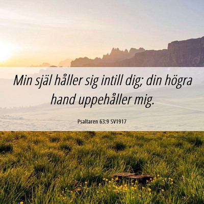 Picture 06 - Psaltaren 63:9 SV1917 - Min själ håller sig intill dig; din högra hand - Bible Verse Picture