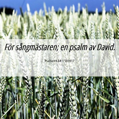 Picture 06 - Psaltaren 64:1 SV1917 - För sångmästaren; en psalm av - Bible Verse Picture