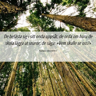 Picture 06 - Psaltaren 64:6 SV1917 - De befästa sig i sitt onda uppsåt, de orda om - Bible Verse Picture