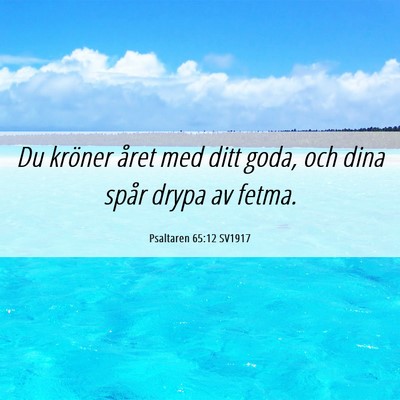 Picture 06 - Psaltaren 65:12 SV1917 - Du kröner året med ditt goda, och dina spår - Bible Verse Picture
