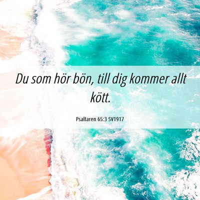 Picture 06 - Psaltaren 65:3 SV1917 - Du som hör bön, till dig kommer allt - Bible Verse Picture
