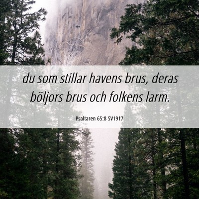 Picture 06 - Psaltaren 65:8 SV1917 - du som stillar havens brus, deras böljors brus - Bible Verse Picture