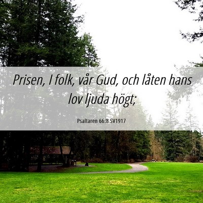 Picture 06 - Psaltaren 66:8 SV1917 - Prisen, I folk, vår Gud, och låten hans lov - Bible Verse Picture