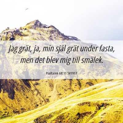 Picture 06 - Psaltaren 69:11 SV1917 - Jag grät, ja, min själ grät under fasta, men - Bible Verse Picture