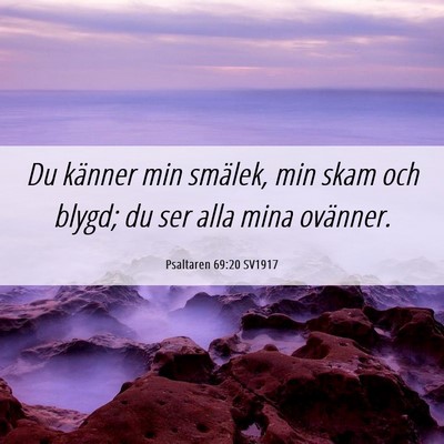 Picture 06 - Psaltaren 69:20 SV1917 - Du känner min smälek, min skam och blygd; du - Bible Verse Picture