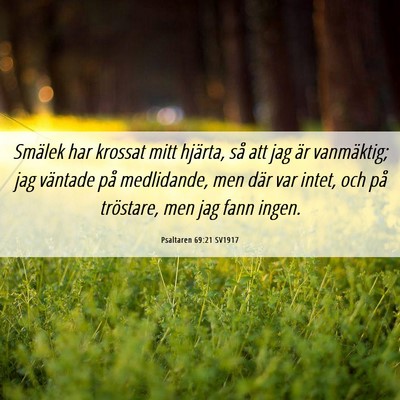 Picture 06 - Psaltaren 69:21 SV1917 - Smälek har krossat mitt hjärta, så att jag är - Bible Verse Picture