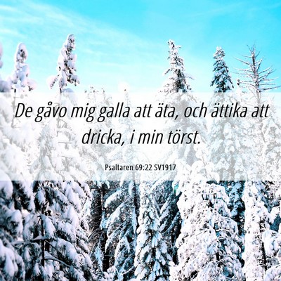 Picture 06 - Psaltaren 69:22 SV1917 - De gåvo mig galla att äta, och ättika att - Bible Verse Picture
