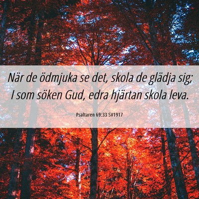 Picture 06 - Psaltaren 69:33 SV1917 - När de ödmjuka se det, skola de glädja sig; I - Bible Verse Picture