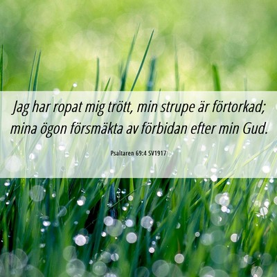 Picture 06 - Psaltaren 69:4 SV1917 - Jag har ropat mig trött, min strupe är - Bible Verse Picture