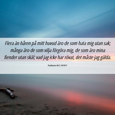 Picture 06 - Psaltaren 69:5 SV1917 - Flera än håren på mitt huvud äro de som hata - Bible Verse Picture