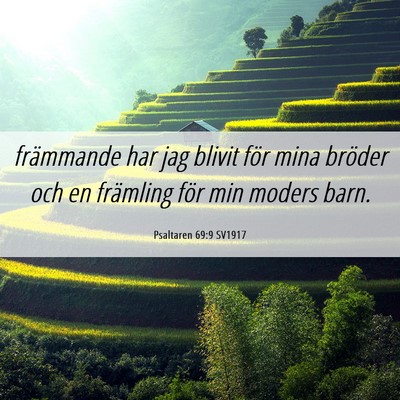 Picture 06 - Psaltaren 69:9 SV1917 - främmande har jag blivit för mina bröder och - Bible Verse Picture