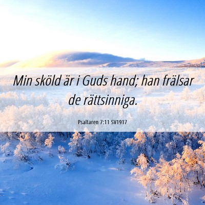 Picture 06 - Psaltaren 7:11 SV1917 - Min sköld är i Guds hand; han frälsar de - Bible Verse Picture