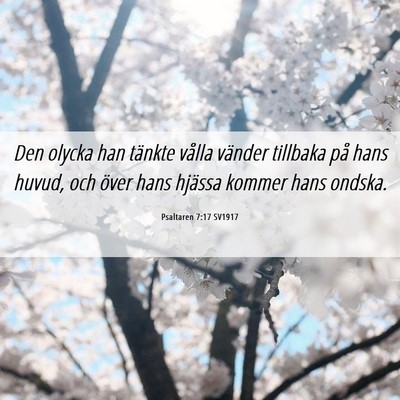 Picture 06 - Psaltaren 7:17 SV1917 - Den olycka han tänkte vålla vänder tillbaka - Bible Verse Picture