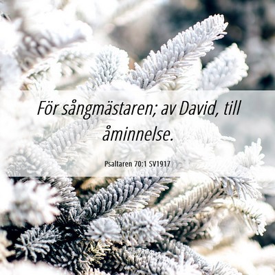 Picture 06 - Psaltaren 70:1 SV1917 - För sångmästaren; av David, till - Bible Verse Picture