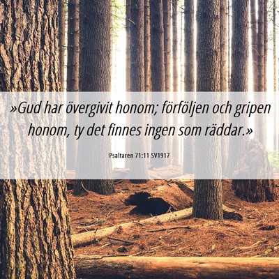 Picture 06 - Psaltaren 71:11 SV1917 - »Gud har övergivit honom; förföljen och - Bible Verse Picture