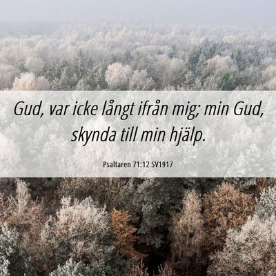 Picture 06 - Psaltaren 71:12 SV1917 - Gud, var icke långt ifrån mig; min Gud, skynda - Bible Verse Picture