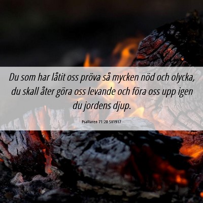 Picture 06 - Psaltaren 71:20 SV1917 - Du som har låtit oss pröva så mycken nöd och - Bible Verse Picture