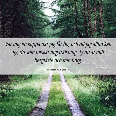 Picture 06 - Psaltaren 71:3 SV1917 - Var mig en klippa där jag får bo, och dit jag - Bible Verse Picture