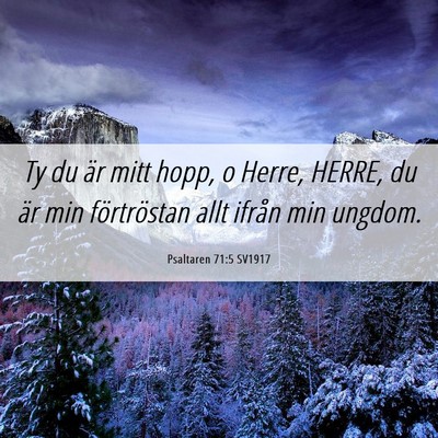 Picture 06 - Psaltaren 71:5 SV1917 - Ty du är mitt hopp, o Herre, HERRE, du är min - Bible Verse Picture