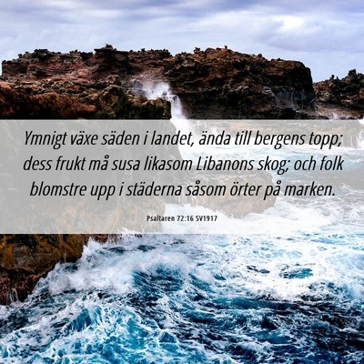 Picture 06 - Psaltaren 72:16 SV1917 - Ymnigt växe säden i landet, ända till bergens - Bible Verse Picture