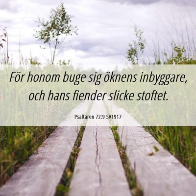 Picture 06 - Psaltaren 72:9 SV1917 - För honom buge sig öknens inbyggare, och hans - Bible Verse Picture