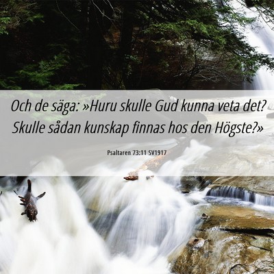 Picture 06 - Psaltaren 73:11 SV1917 - Och de säga: »Huru skulle Gud kunna veta det? - Bible Verse Picture
