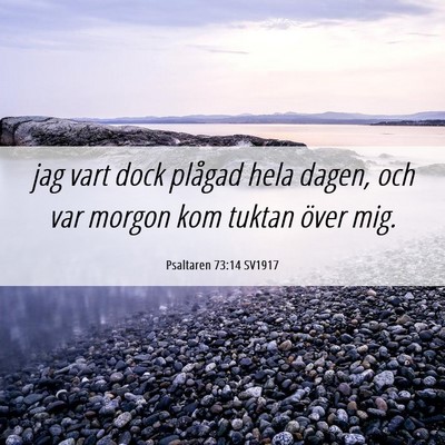 Picture 06 - Psaltaren 73:14 SV1917 - jag vart dock plågad hela dagen, och var morgon - Bible Verse Picture