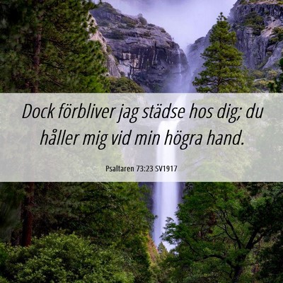 Picture 06 - Psaltaren 73:23 SV1917 - Dock förbliver jag städse hos dig; du håller - Bible Verse Picture