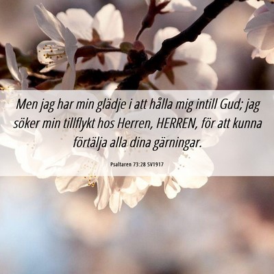 Picture 06 - Psaltaren 73:28 SV1917 - Men jag har min glädje i att hålla mig intill - Bible Verse Picture