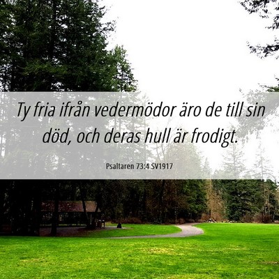 Picture 06 - Psaltaren 73:4 SV1917 - Ty fria ifrån vedermödor äro de till sin död, - Bible Verse Picture