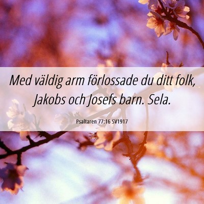 Picture 06 - Psaltaren 77:16 SV1917 - Med väldig arm förlossade du ditt folk, Jakobs - Bible Verse Picture
