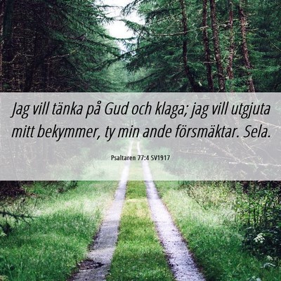 Picture 06 - Psaltaren 77:4 SV1917 - Jag vill tänka på Gud och klaga; jag vill - Bible Verse Picture