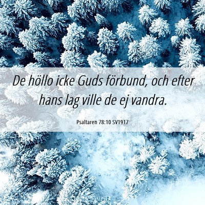 Picture 06 - Psaltaren 78:10 SV1917 - De höllo icke Guds förbund, och efter hans lag - Bible Verse Picture