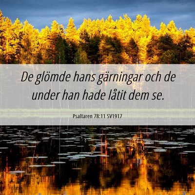 Picture 06 - Psaltaren 78:11 SV1917 - De glömde hans gärningar och de under han hade - Bible Verse Picture